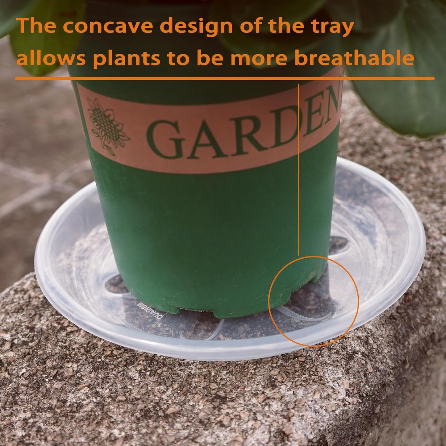 Plant Saucer 12 inch, 6 Pack of Clear Plant Drip Trays, Plant Plates to Catch Water Indoor Plants, Plant Drainage Tray for Planters