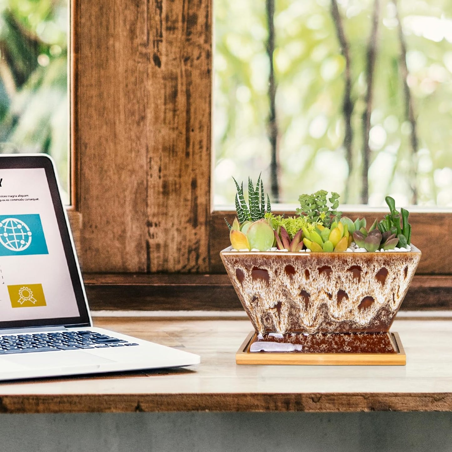 ARTKETTY Succulent Pots - 7 Inch Large Plant Pot with Drainage Tray, Shallow Ceramic Pots for Indoor Plants, Modern Cactus Bonsai Plant Container Decorative Home Office