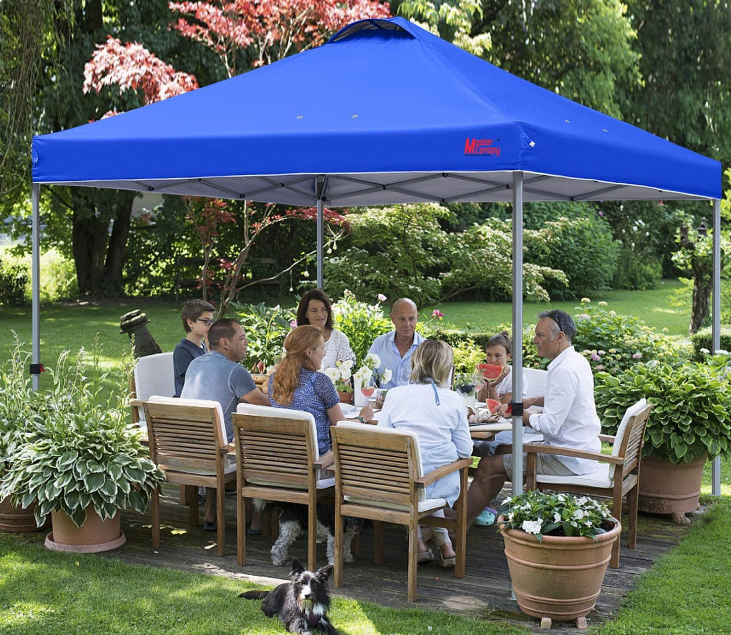 MASTERCANOPY Durable Pop-up Canopy Tent with Roller Bag (Blue)
