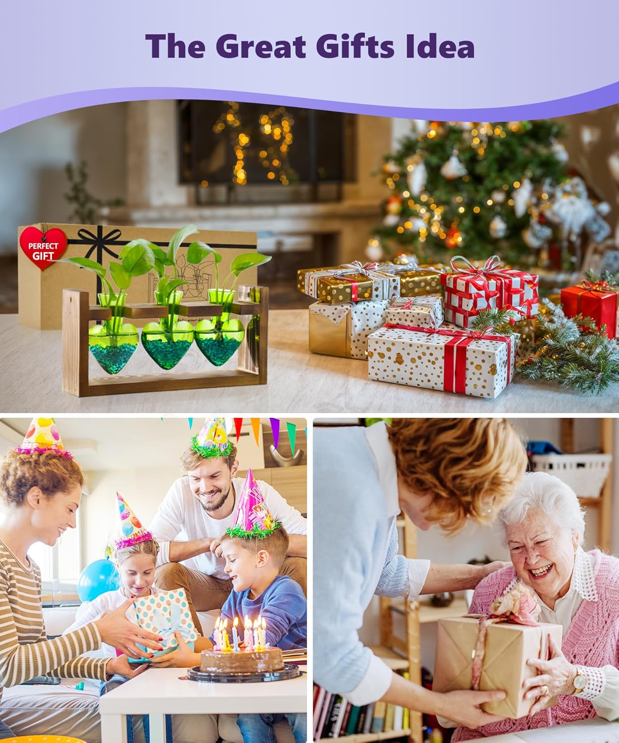 Nacome Plant Terrarium for Office Decor: Birthday Gifts for Plant Lovers Women Mom Wife - Wooden Stand Tabletop Planter 3 Bulb Glass Vase Heart Shaped for Hydroponics Indoor Home(Green)