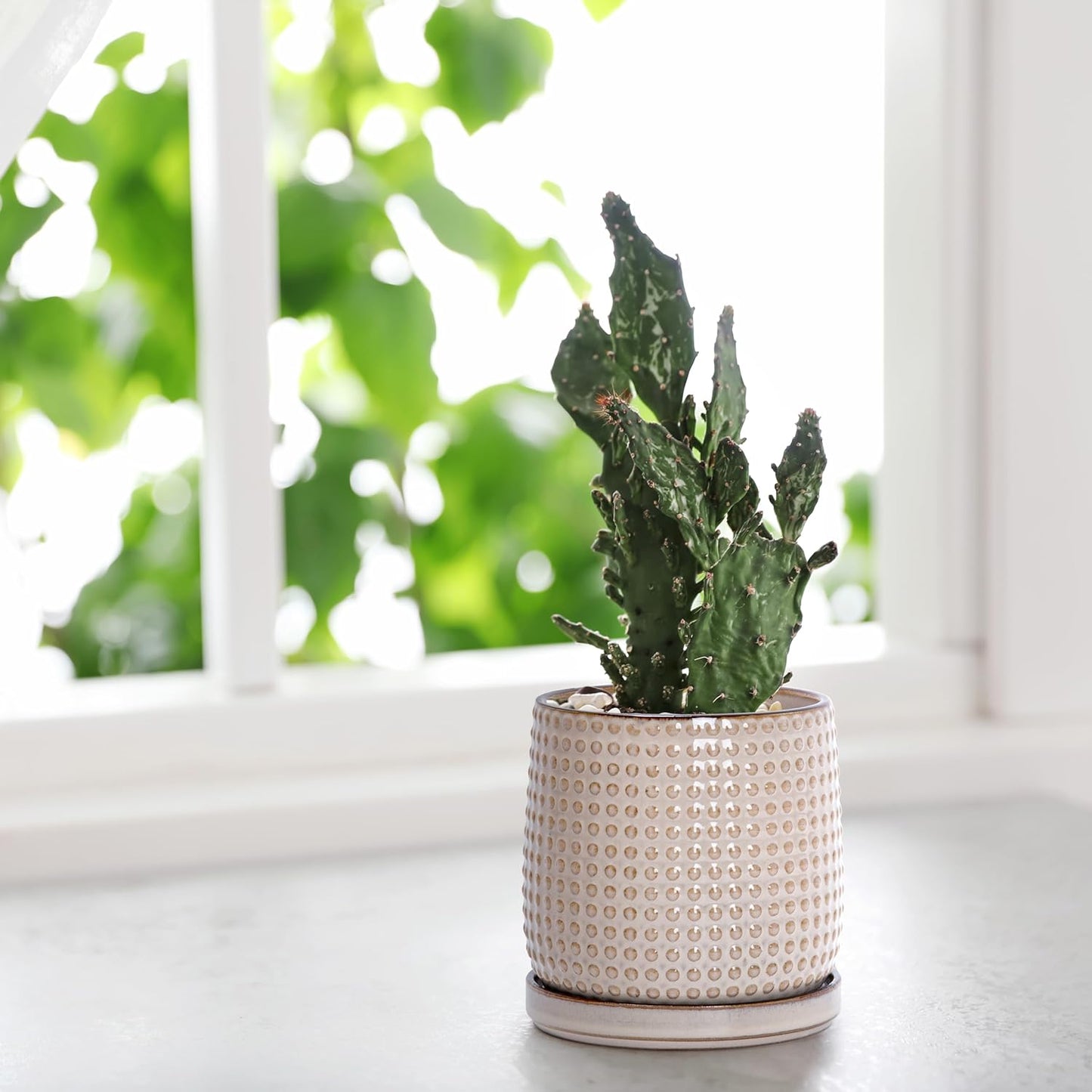 D'vine Dev 4 Inch Ceramic Beaded Stoneware Planter Pot - Flower Pot with Drainage Holes and Saucers for Indoor Succulent Plants or Flowers, Light Brown, 27-C-Z-4