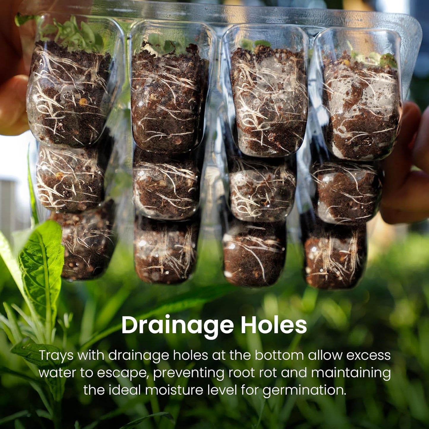 MIXC Seed Starter Kit with Grow Light, Elevated Seedling Tray Kit with Adjustable Humidity Dome and Clear Cell Tray, 12 Full Spectrum Led Beads for Seed Starting Greenhouse, 6 Pack, Black