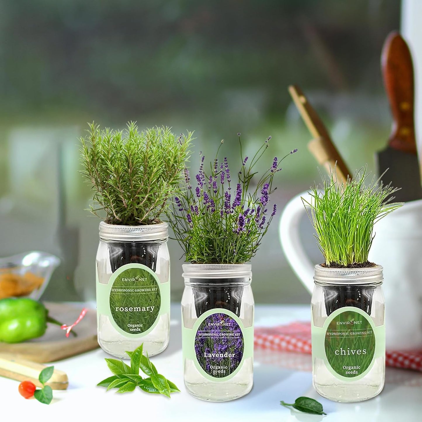 Hydroponic Herb Growing Kit Set, Self-Watering Mason Jar Herb Garden Starter Kit Indoor, Grow Your Own Herbs from Seeds (Lavender, Rosemary & Chives)
