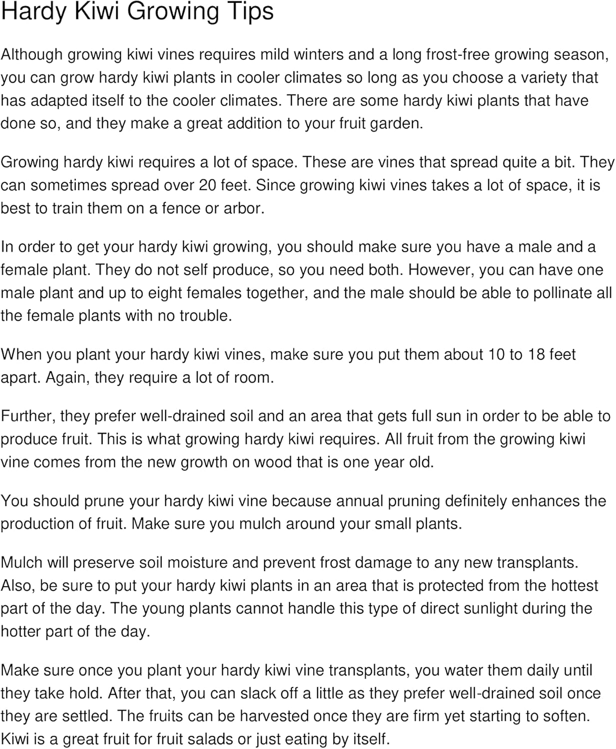 3 Hardy Kiwi Plants- 2 Female Ananasnaya, and One Male Pollinater-All in 4 Inch Cups/Kiwi Aruguta. Awesome Starter Plants!