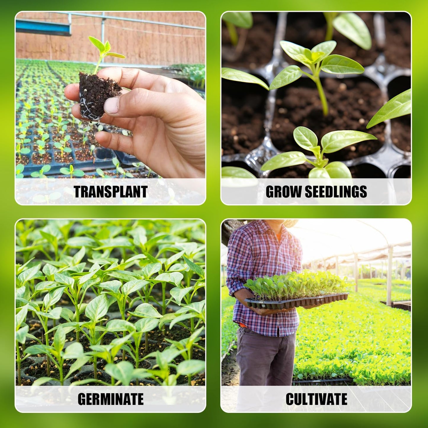 10Pcs 128 Cell Seed Starter Trays, Thick Durable Nursery 128 Cell Plug Tray Seedling Flat Plastic Shallow Tray for TD538 1020 Trays (21.26", 11.02", Deep 1.89"), GGBQ128