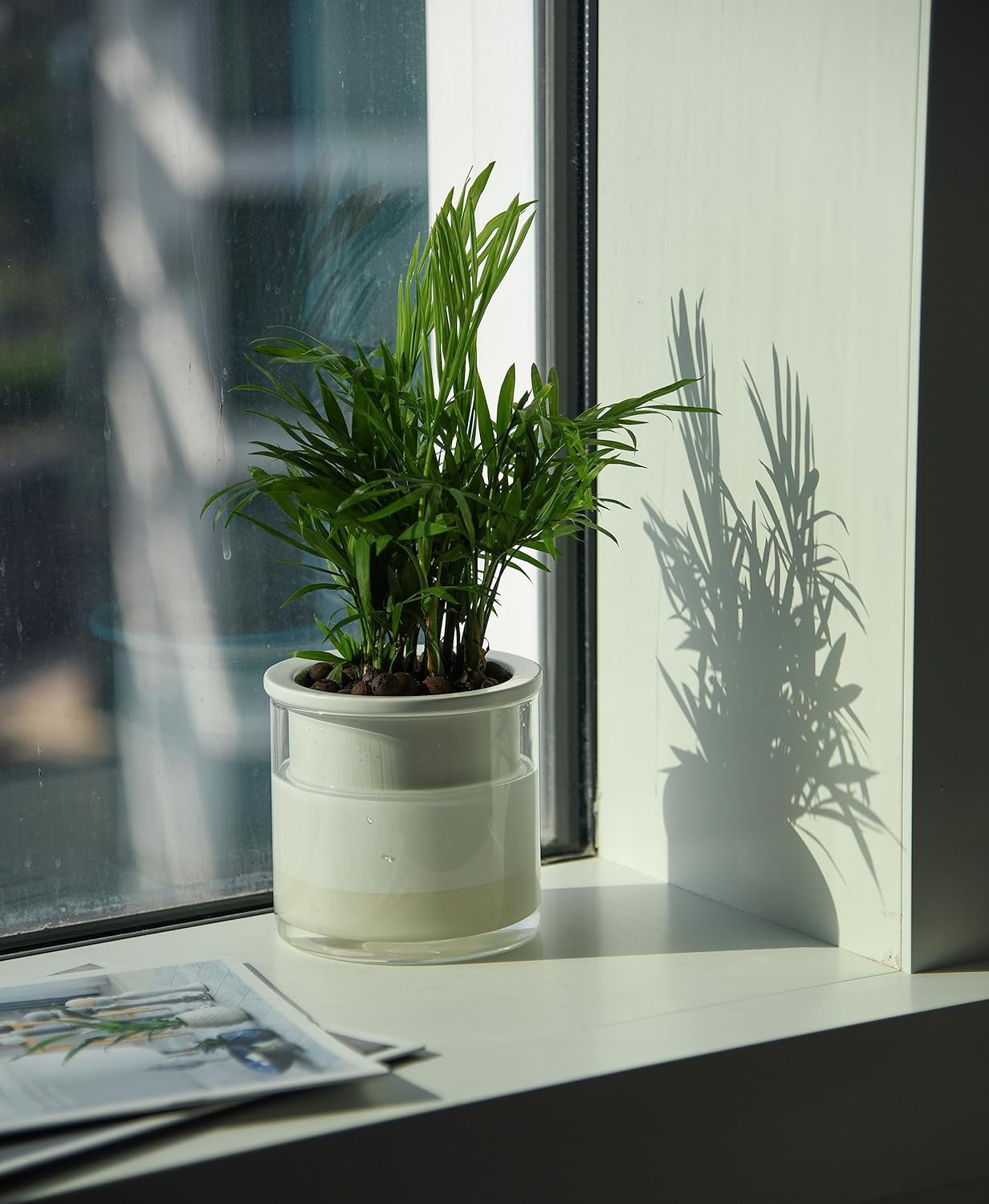 Phoenix Vine 4 Inch Self Watering Planter Pot, Design White Terracotta Pots for Plants, Indoor Cylinder Terra Cotta Pots with Glass Vase, Set of 1, 51-B-E-1