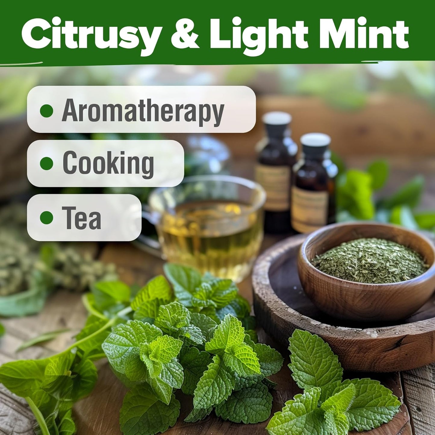 HOME GROWN 𝗨𝗦𝗔 𝗣𝗥𝗘𝗠𝗜𝗨𝗠 Lemon Balm Seed Pack - 403 Non-GMO USA Heirloom Herbal Tea Seeds - Bulk Lemon Balm Seeds for Planting Gardens Indoors or Outdoors - Herb Seeds (Melissa officinalis)