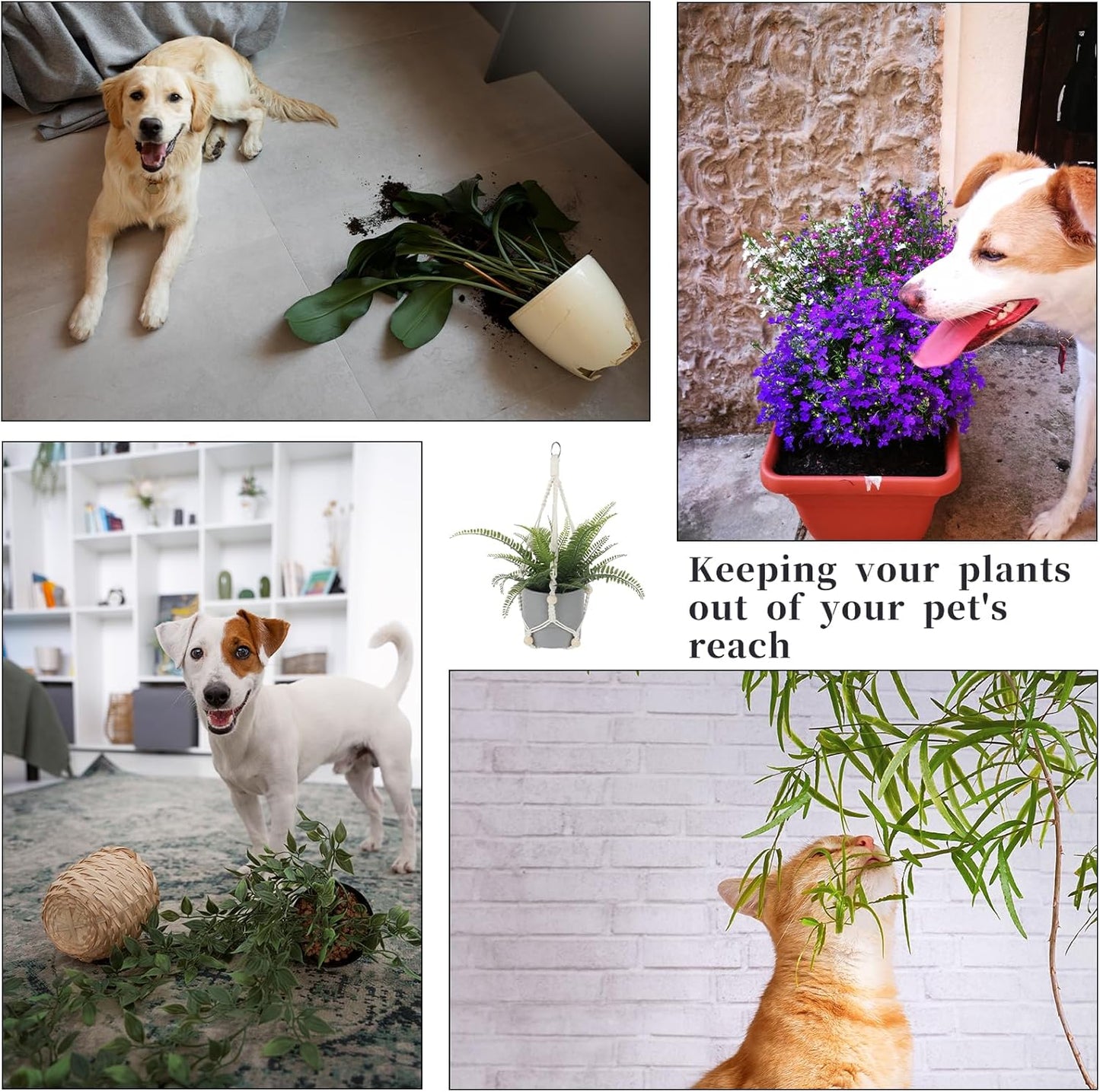 Macrame Plant Hanger Indoor, 2 Pack Boho Decor Hanging Plant Holder Hanging Planters for Indoor Plants Window Plant Hanger Flower Pot Hanging Basket with Wood Beads and Metal Hook Rings Ivory 20 Inch