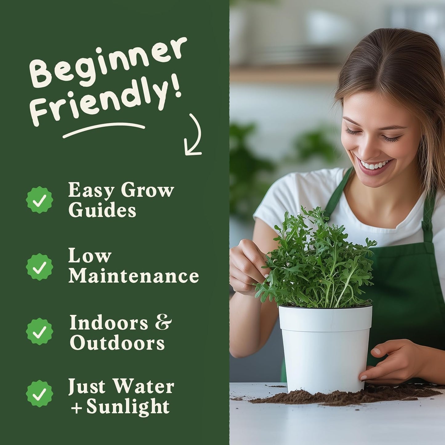 Seedboy Organic Arugula 'Slow Bolt' Seeds for Planting Indoor and Outdoor, Non-GMO and USDA Certified Herb Seed Packet for Hydroponic Garden Indoor or Planting Outdoors (Slow Bolt Arugula)