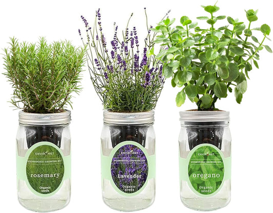 Hydroponic Herb Growing Kit Set, Self-Watering Mason Jar Herb Garden Starter Kit Indoor, Windowsill Herbs Garden, Grow Your Own Herbs from Organic Seeds (Rosemary, Lavender, Oregano)