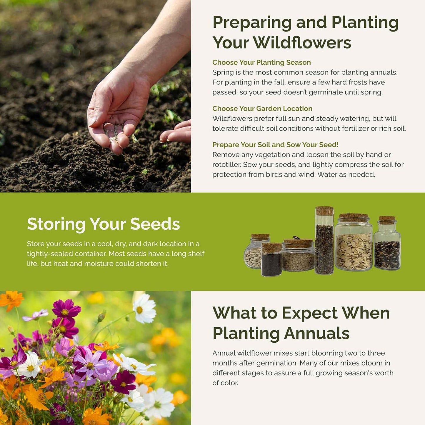 Eden Brothers Crazy for Cosmos Flower Mixed Seeds for Planting, 50 lb, 24,000,000+ Seeds with Cosmos Gloria, Pinkie, Purity, Attracts Pollinators, Plant in Spring or Fall, Zone 3, 4, 5, 6, 7, 8, 9, 10