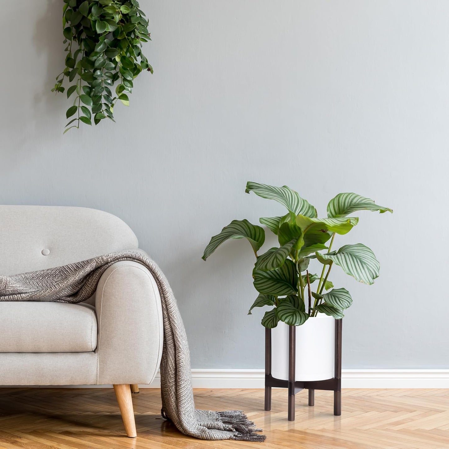 D'vine Dev Planter Pot with Stand - 10 Inch Plastic Cylinder Flower Pot with Wood Planter Holder for Indoor, Matte White Pot + Walnut Color Stand, 55-C-L-1