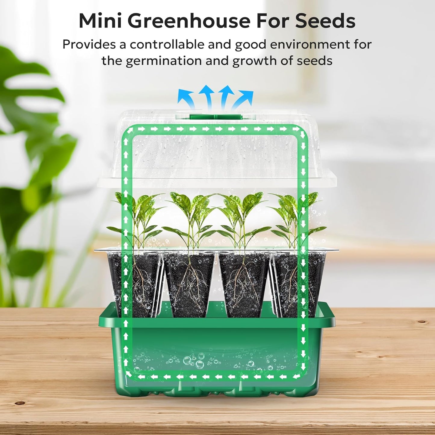 MIXC 10 Packs Seed Starter Tray Seed Starter Kit with Humidity Dome (120 Cells Total Tray) Seed Starting Trays Plant Starter Kit and Base Mini Greenhouse Germination Kit for Seeds Growing Starting