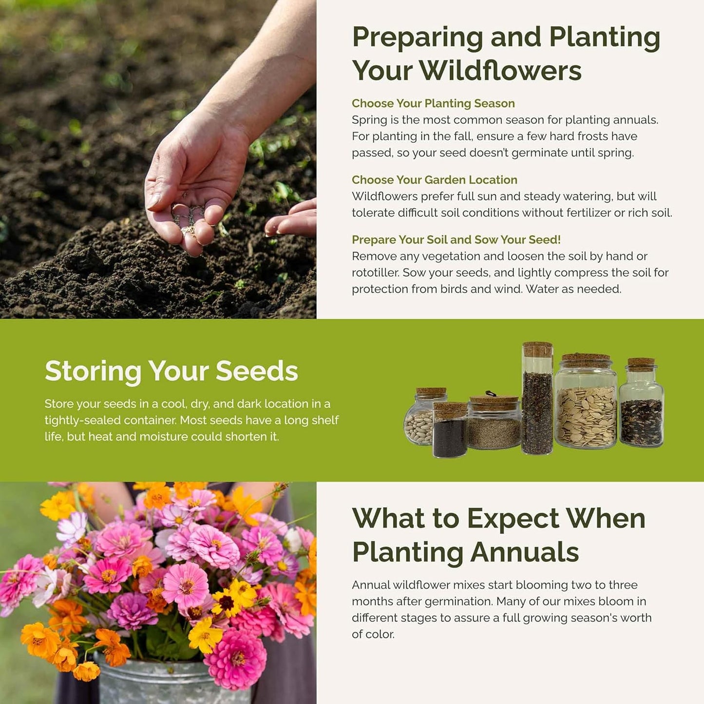 Eden Brothers Orange Sherbet Flower Mixed Seeds for Planting, 1/4 lb, 120,000+ Seeds with Cosmos Picotee, Bright Lights | Attracts Pollinators, Plant in Spring or Fall, Zones 3, 4, 5, 6, 7, 8, 9, 10