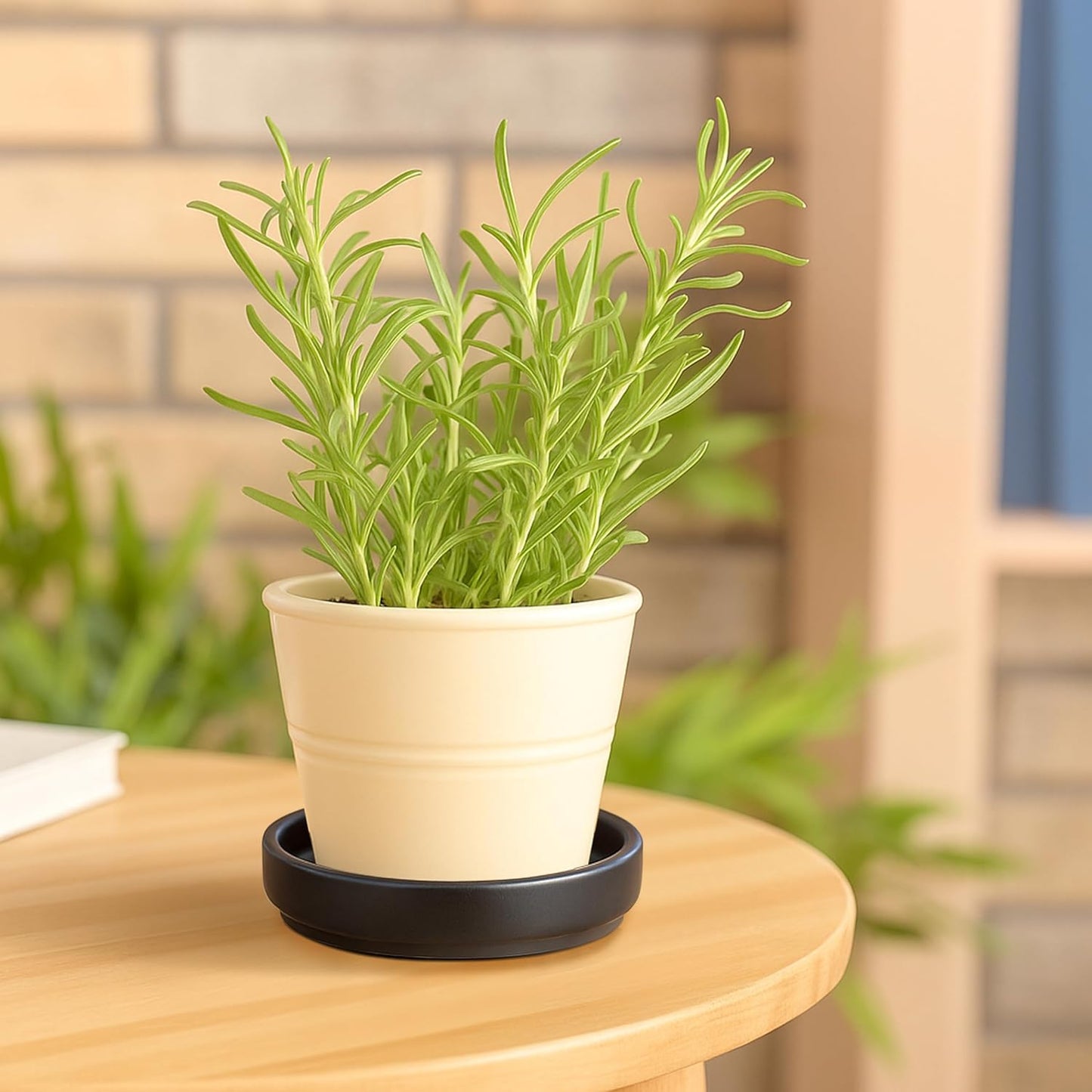 D'vine Dev Modern Round 3.7 Inch Ceramic Plant Pot Saucer, Planter Pot Drainage Tray for Indoor Plants, Matte Black, 97-T-B-1