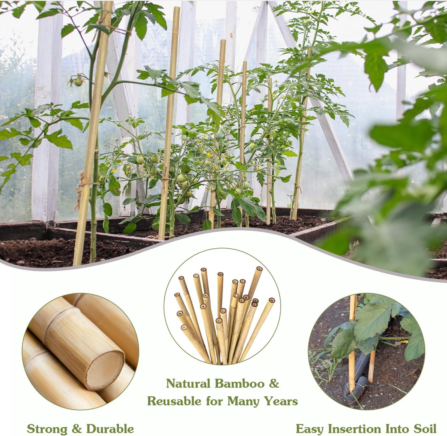 Plant Stakes 16inch, 20Pcs Natural Bamboo Sticks Garden Stakes, HAINANSTRY Plant Support Stakes for Indoor & Outdoor Plants, Orchid Tomato Vegetable Stakes for Garden