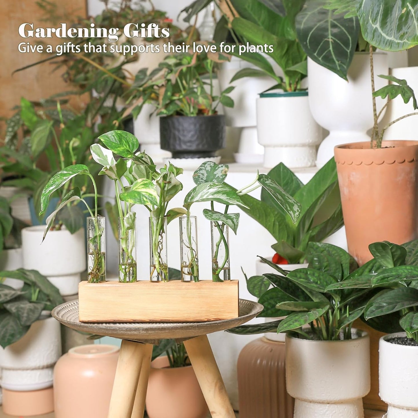 KAXYEW Plant Propagation Station, Plants Propagation Tubes, Gifts for Plant Lovers, Plants Cutting Holder Test Tube Vase Office Desk Garden Décor Gift for Her Mom Women Hydroponic Vase Gift Box