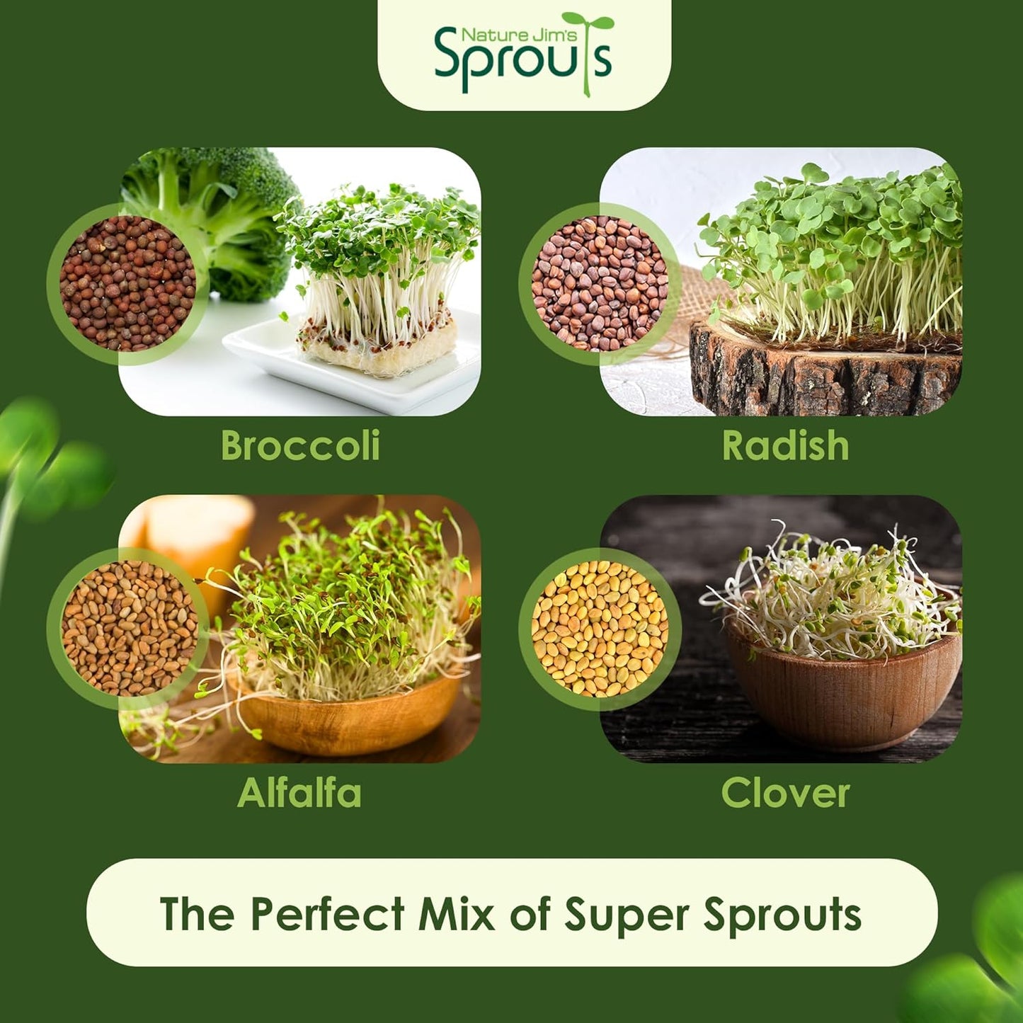 Nature Jims Sprouts Organic Salad Mix – Non-GMO Microgreen Seeds for Growing – Healthy Broccoli, Alfalfa, Radish & Clover Sprouting Variety Blend – Microgreens & Sprouts Seeds for Home Gardening – 1lb