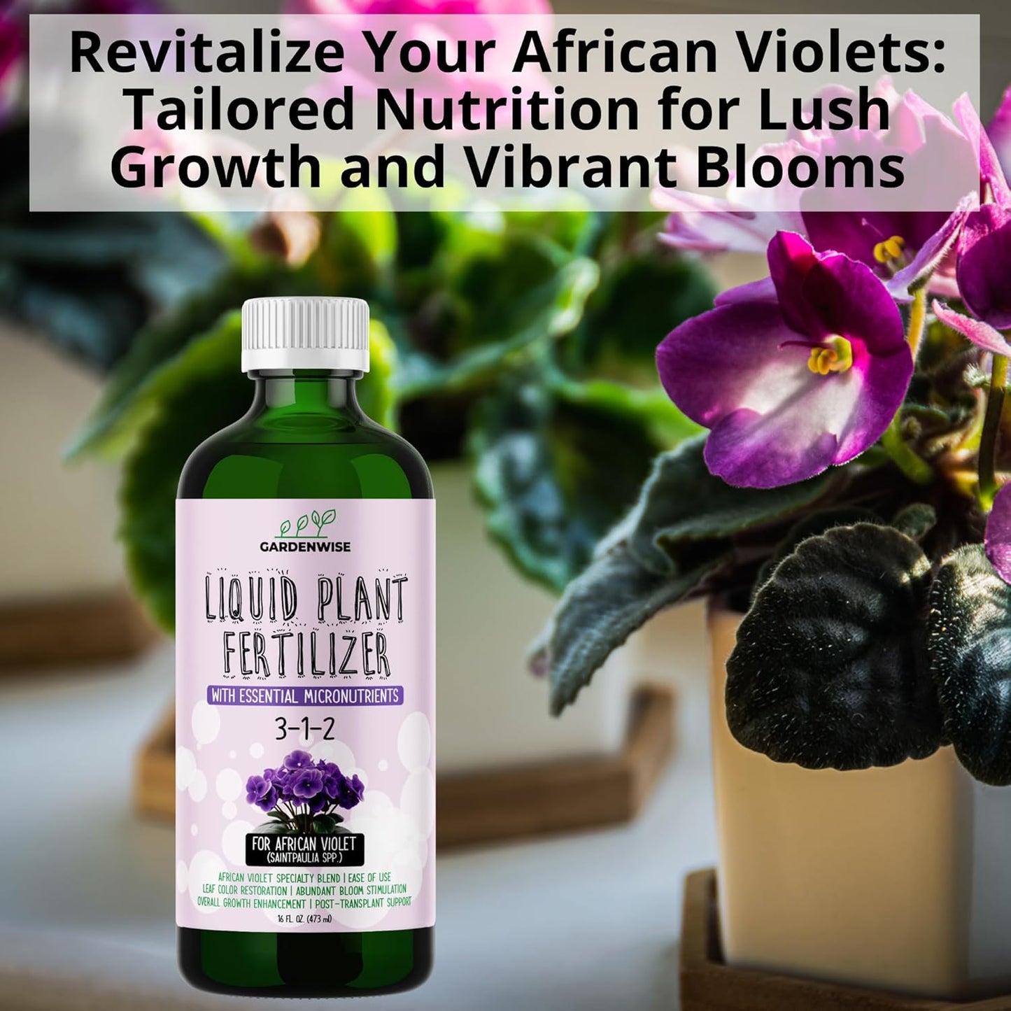 3-1-2 African Violet Fertilizer for Indoor Plants: Liquid Fertilizer with Essential Micronutrients Drops - Plant Food for African Violets (32 OZ)