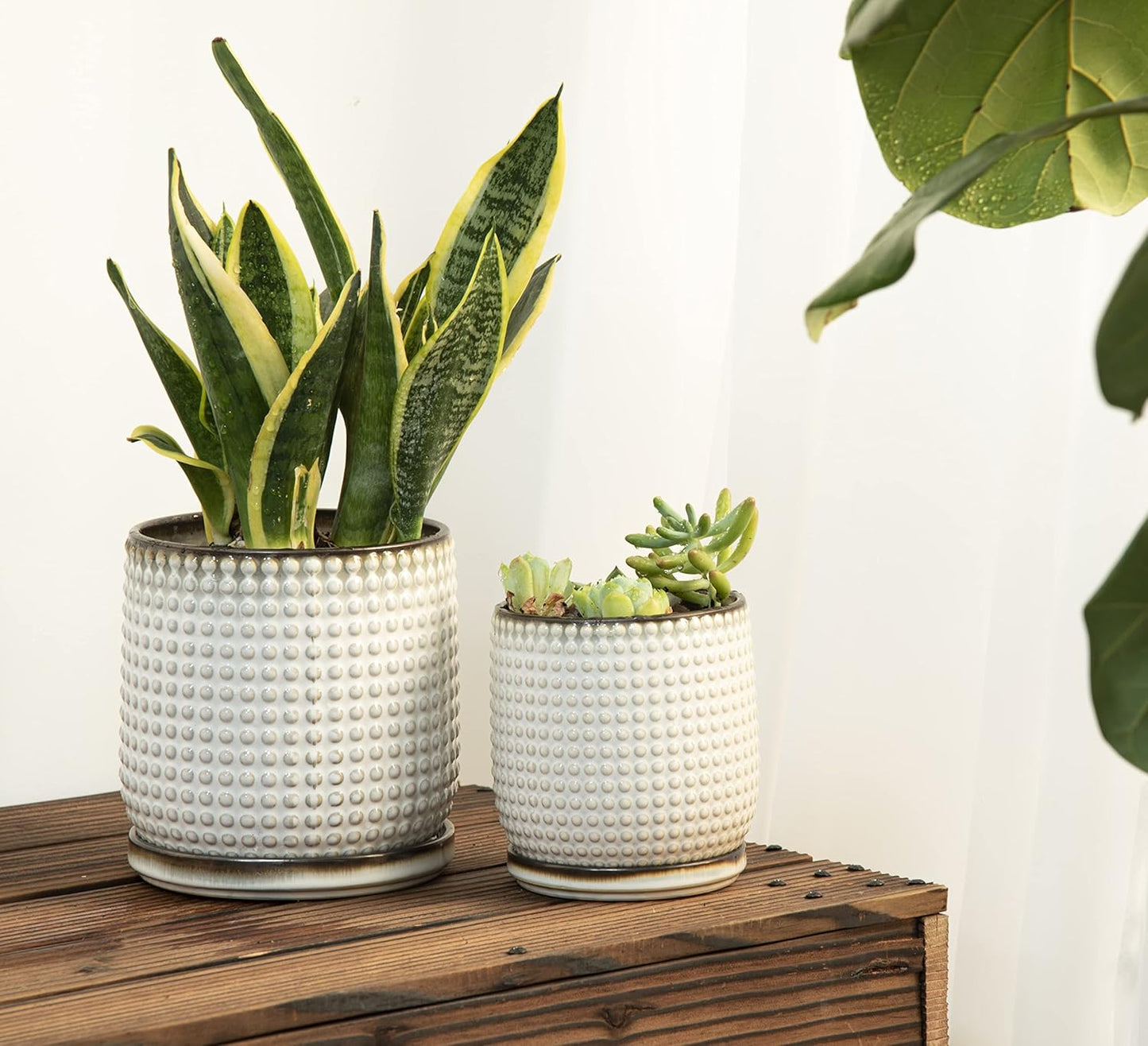 D'vine Dev 6 Inch 4 Inch Ceramic Indoor Planter Pots with Drainage Hole and Saucer, Beaded Design Flower Pots, Set of 2, Smoked White, 27-D-U-1