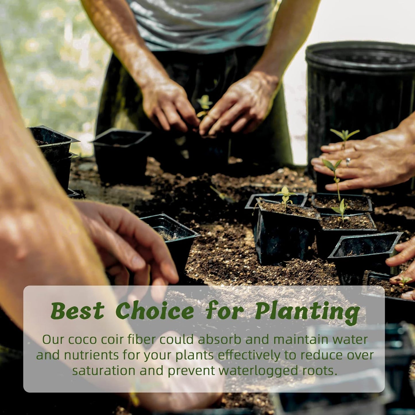 Coco Coir Brick for Plants, 8 Packs 100% Natural Organic Compressed Coconut Coir Fiber with Low EC & PH Balance, High Nutrition Coconut Soil Coco Fiber for Planting, Herbs