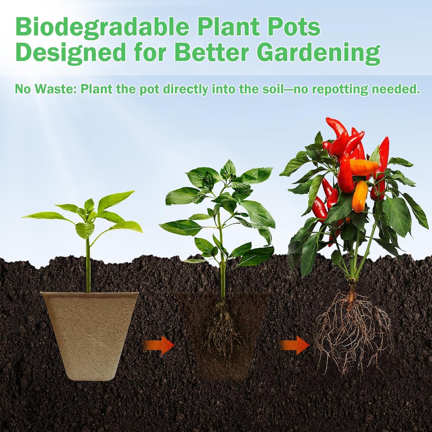 70-Pack 3.15 inch Square Peat Pots for Seedlings with Drainage Holes, Nursery Pots with 100 Labels for Plants