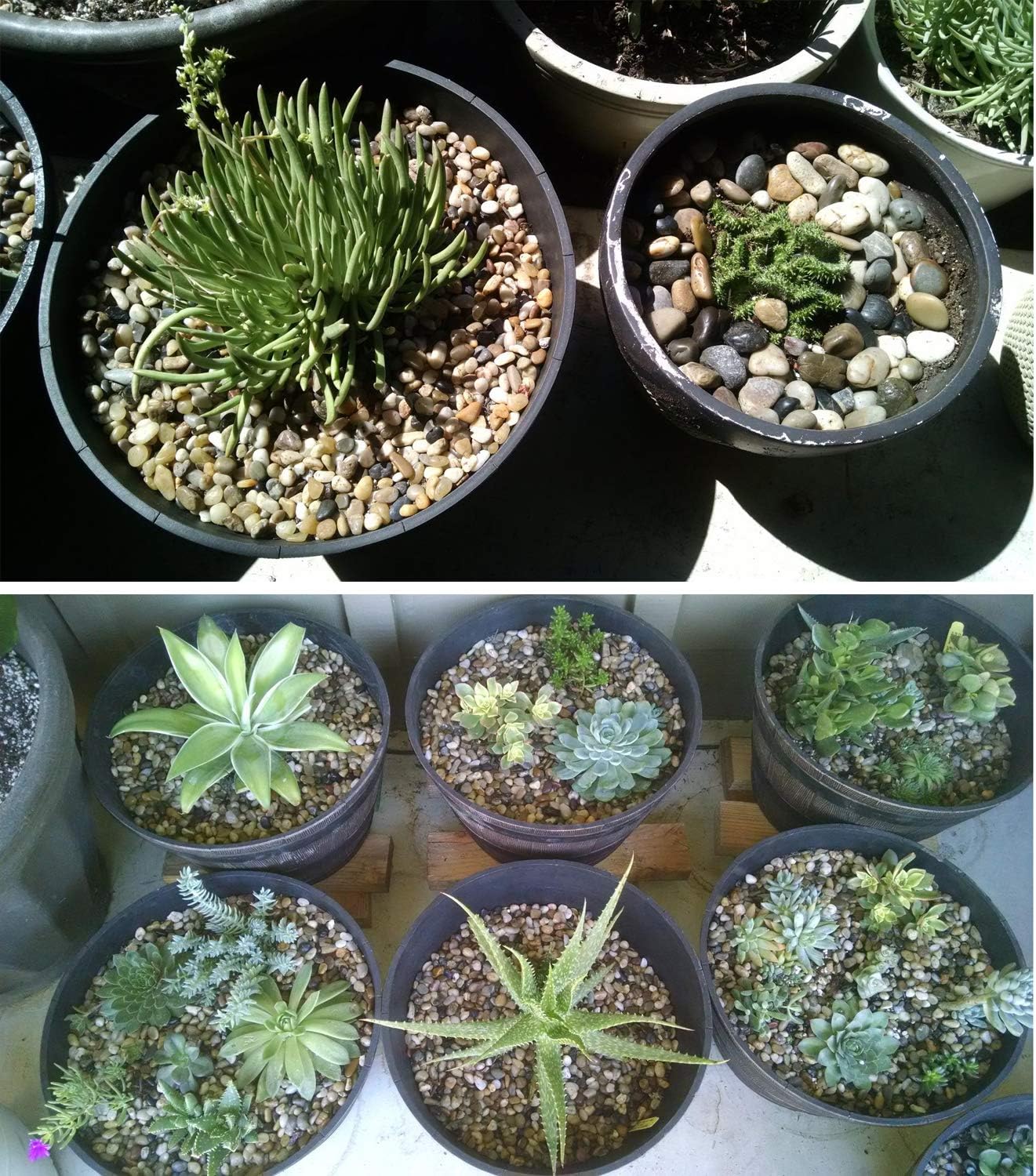 Voulosimi River Rock Stones, Natural Decorative Polished Mixed Pebbles Gravel,Outdoor Decorative Stones for Plant Aquariums, Landscaping, Vase Fillers (10 LB, Mixed Colors)