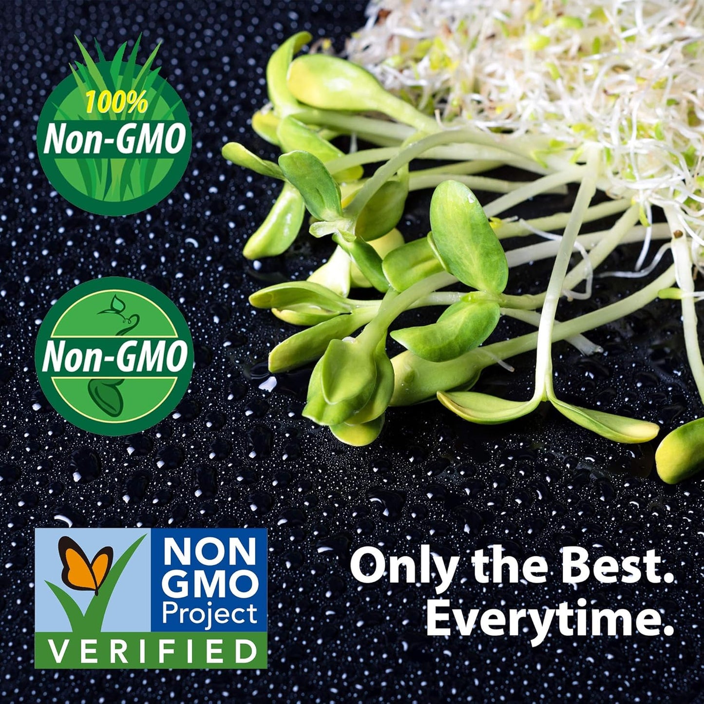 Buckwheat Seeds - 25 Lb Bulk ~300,000 Seeds - Organic, Non-GMO, Whole (Shell On) - Grow Buck Wheat Microgreens, Lettuce