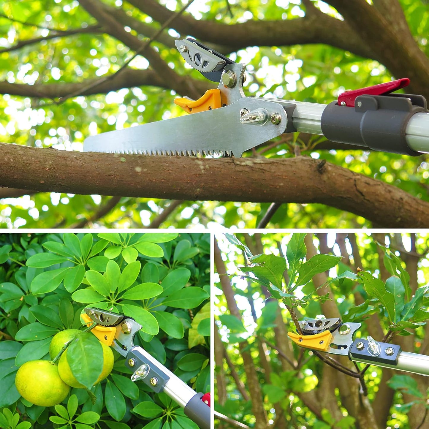 4.6-10 Foot Extendable Tree Pruner, Cut and Hold Pruning Trimmer, Long Reach Pole Saw, Telescoping Fruit Picker, Branches Bypass Lopper