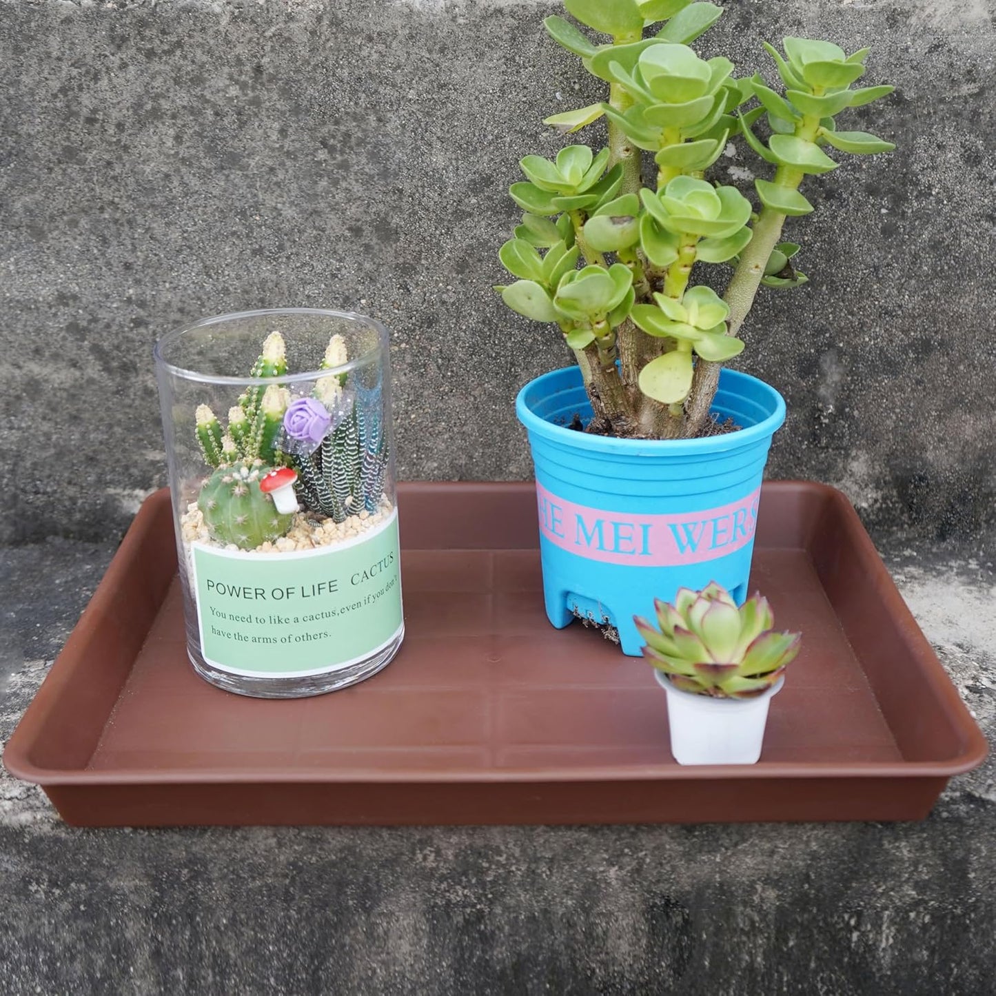 2 Pack Rectangular Plant Saucer, Heavy Sturdy Seed Starting Nursery Trays for Indoors No Holes, Growing Starter Tray (17.5"x10.6", Chocolate)