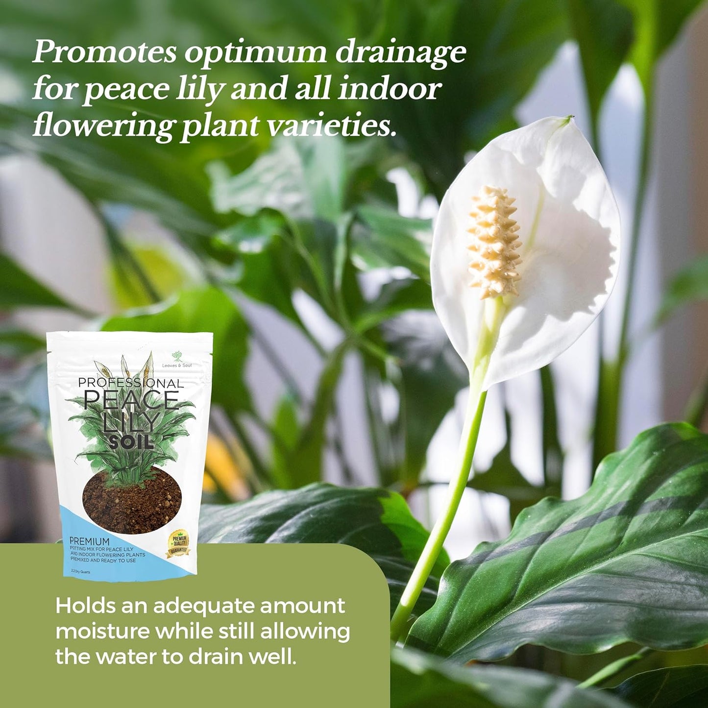 Professional Peace Lily Soil | Large 2.2 Quarts Ready to Use for Peace Lily Plants | Peat Moss, Coco Coir, Perlite, Dolomite | Made in USA