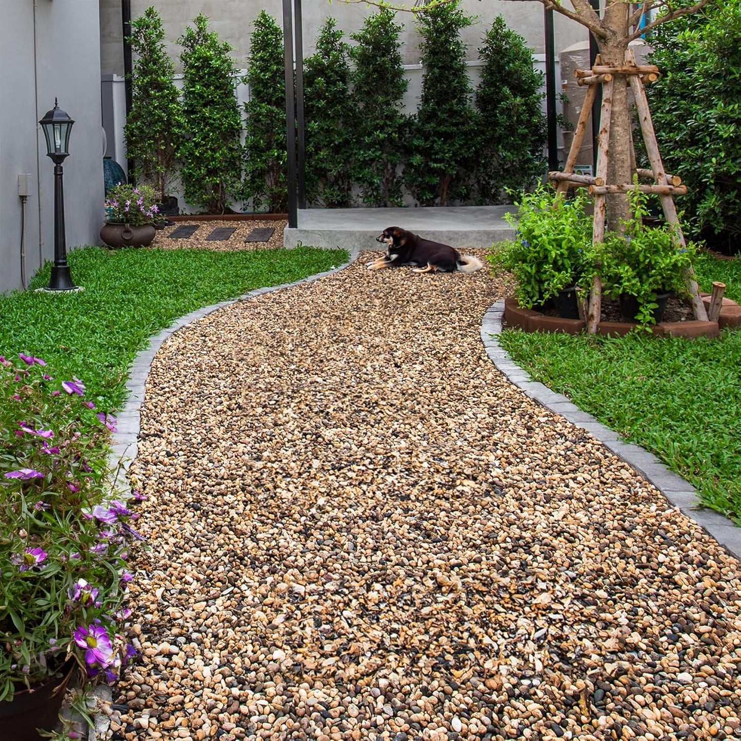 Aquarium Gravel 20 lbs, 2-4mm Fish Tank Gravel, Succulent Cactus Pea Gravel for Indoor Plants, River Rocks for Gardening, Flower Pots, Vase Fillers, Garden Landscaping