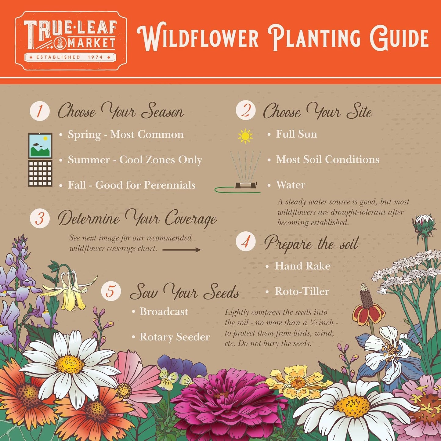 Pacific Northwest Wildflower Seeds for Planting - 4 Oz ~160,000+ Non-GMO Seeds - 25 Varieties Including Lupine, Columbine, Baby Blue Eyes & More - Pollinator Friendly Bulk Mix