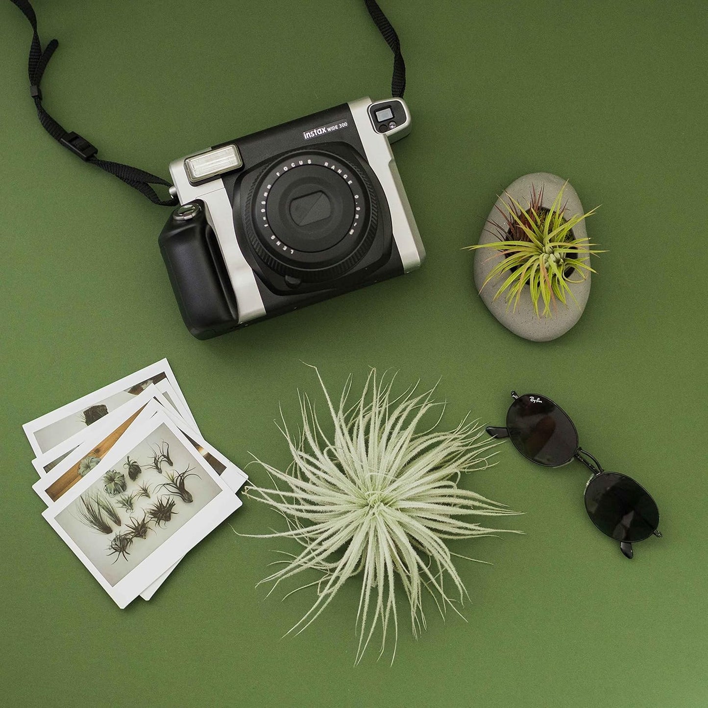 Air Plant Shop 10 Pack Rare Tectorum Ecuador Air Plants - Unique, Bright White, Nursery-Grown Tillandsia House Plant with Fuzzy Trichomes for Terrariums, Driftwood & Living Walls - Wholesale