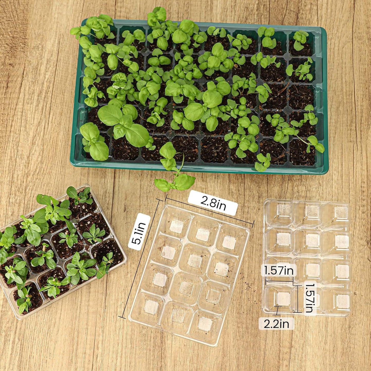 MIXC 360 Cells Seedling Starter Trays Transparent Seed Tray Grow Germination Kit with 30 Plant Lables(1.5 inch x 12 Cells per Tray, 30 Trays)