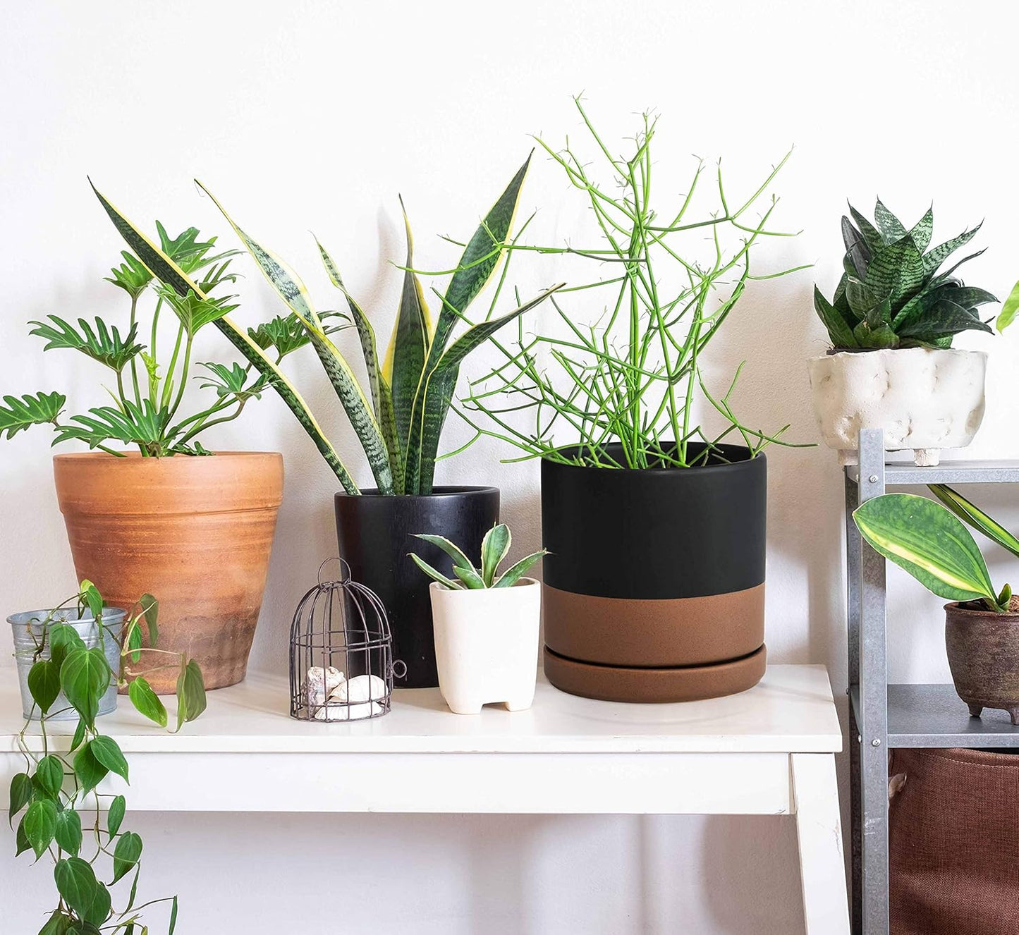 D'vine Dev 6 Inch & 8 Inch Ceramic Planter Pots for Plants with Drainage Hole and Saucer, Medium Plant Pots Set, Black/Speckled Tan, 94-G-M-7