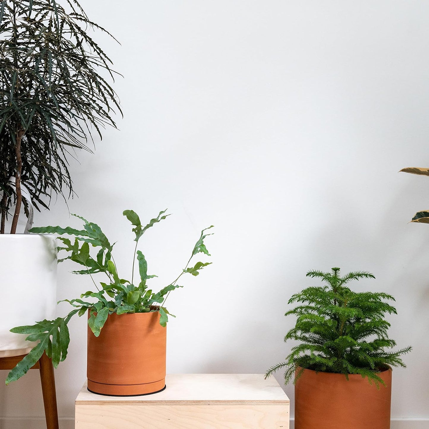 D'vine Dev Small 6 Inch Terracotta Plant Pot with Drainage Hole and Saucer, Round Cylinder Planter Pot for Indoor Plants, 40-X-A-3