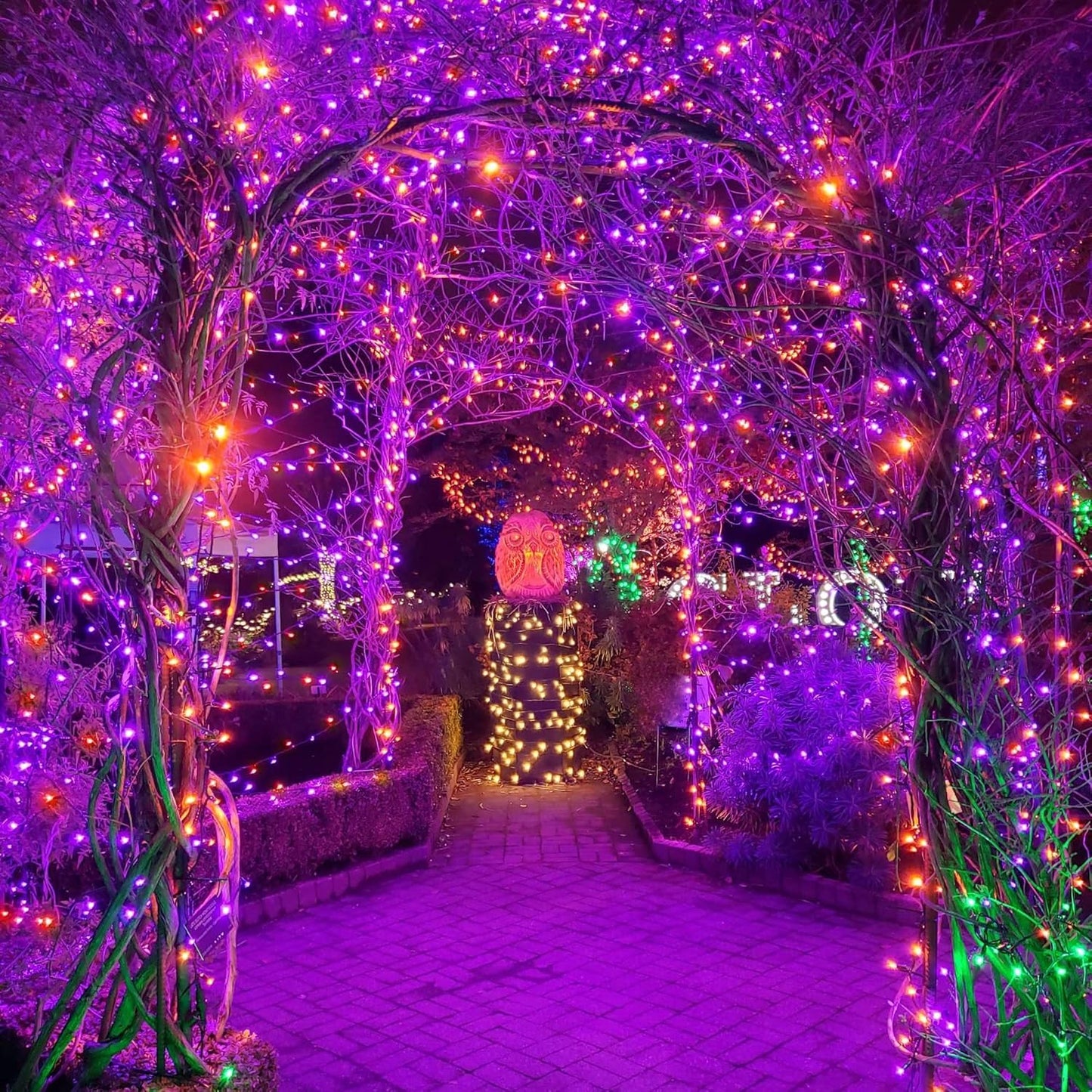 weillsnow 164FT 500 LED Halloween Lights, 8 Modes Waterproof Plug in String Lights for Halloween Indoor Outdoor Yard Party Wedding Garden Home Decorations (Purple & Orange)