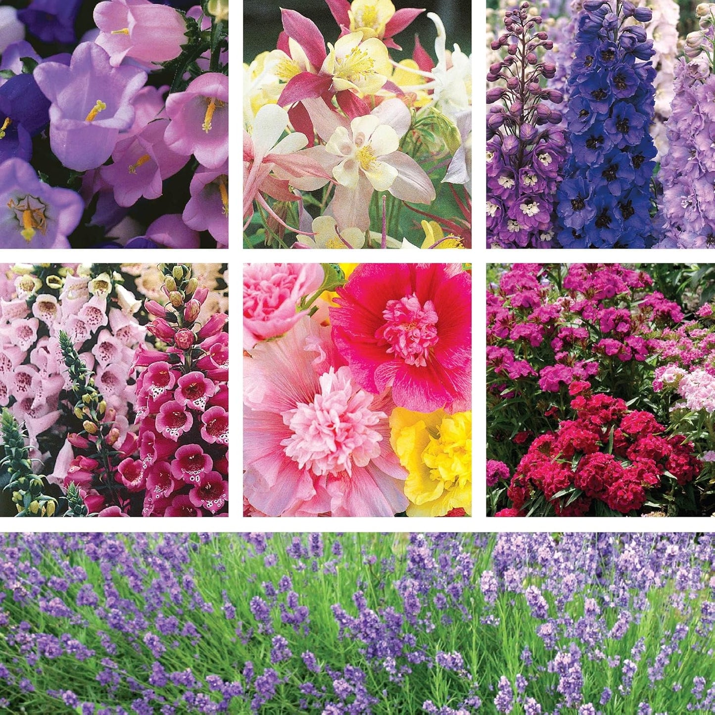 SUPERthrive Organic 4-4-4 All-Purpose Fertilizer, Solid Granular and Ferry-Morse English Cottage Perennial Garden Seed Variety Pack