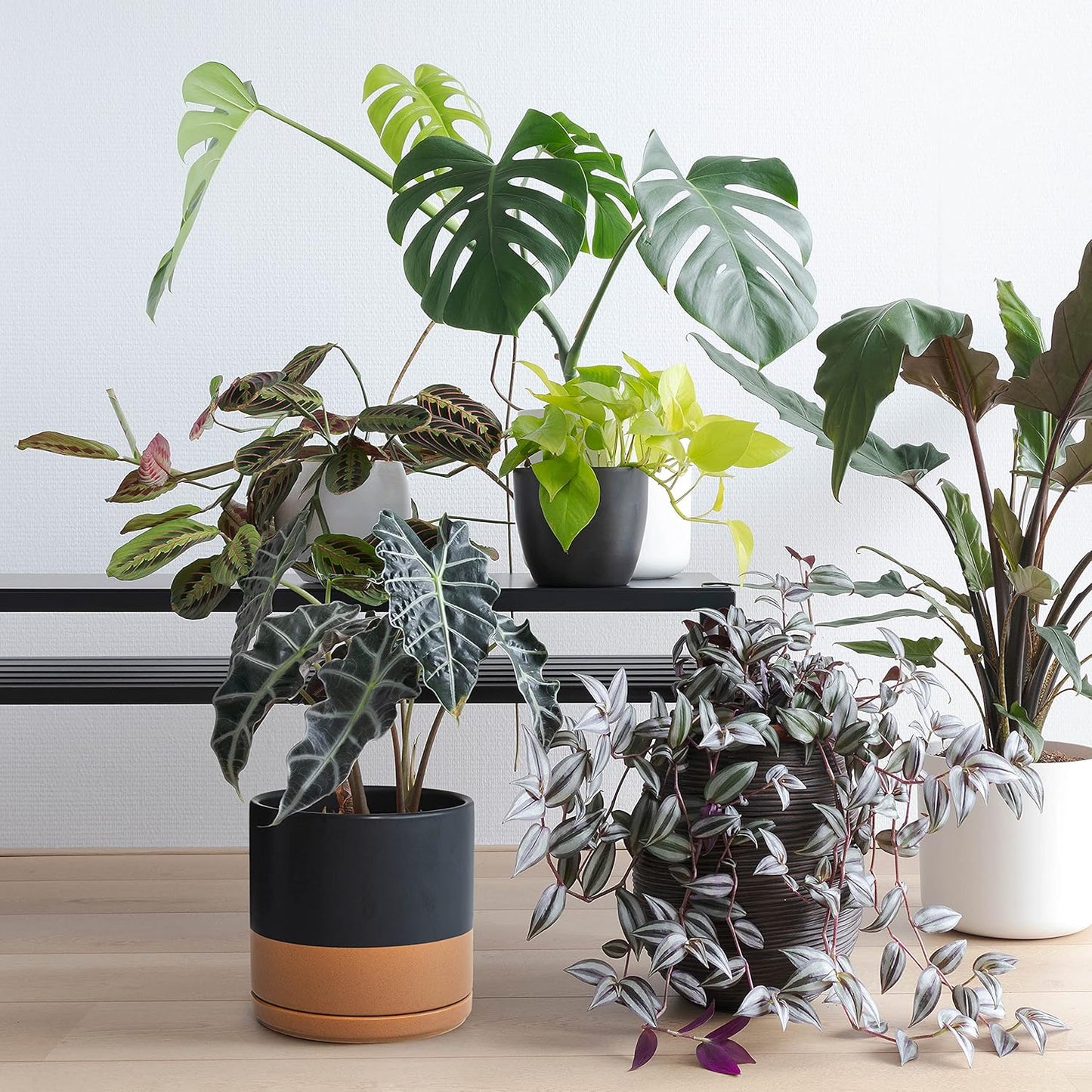 D'vine Dev 6 Inch & 8 Inch Ceramic Planter Pots for Plants with Drainage Hole and Saucer, Medium Plant Pots Set, Black/Speckled Tan, 94-G-M-7