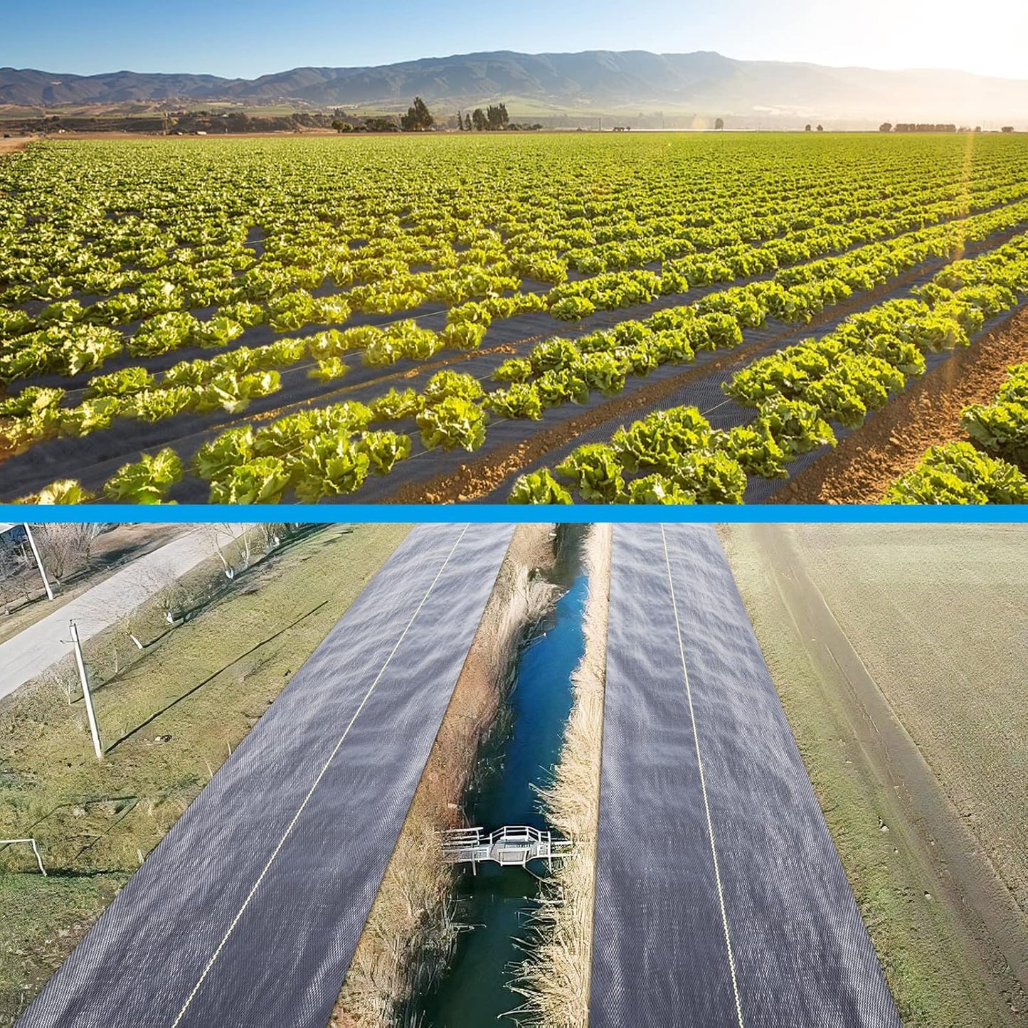 6ft x100ft Black Weed Barrier Landscape Premium Fabric-Heavy Duty Woven Ground Cloth with Superior Permeability Weed Control Convenient Design