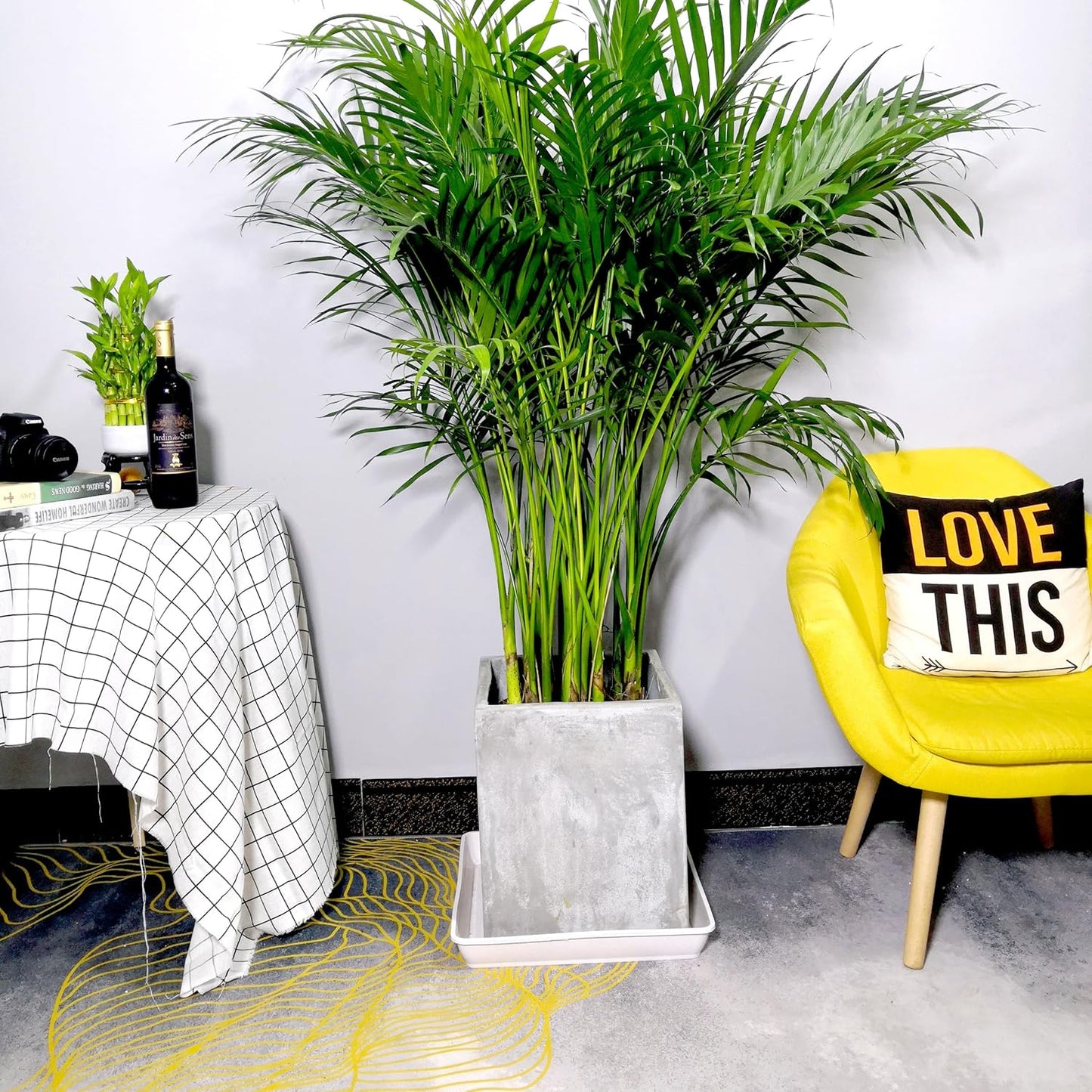 2 Pack Square Plant Saucer 16 Inch, Duty Plastic Plant Saucer, Heavy Duty Plant Pot Saucers, Planters for Indoors and Outdoors Plants，Large Deep Plant Trays for Pots.