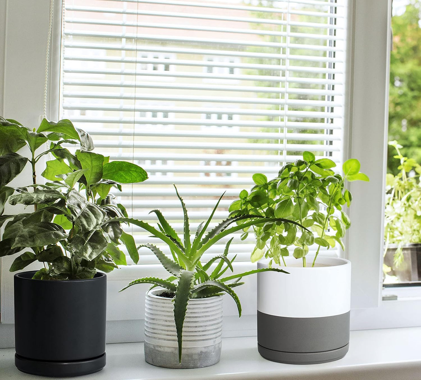 D'vine Dev 6 Inch Ceramic Planter Pot with Drainage Hole and Saucer, Indoor Cylinder Round Flower Pot, White/Speckled Grey, 94-O-C-6