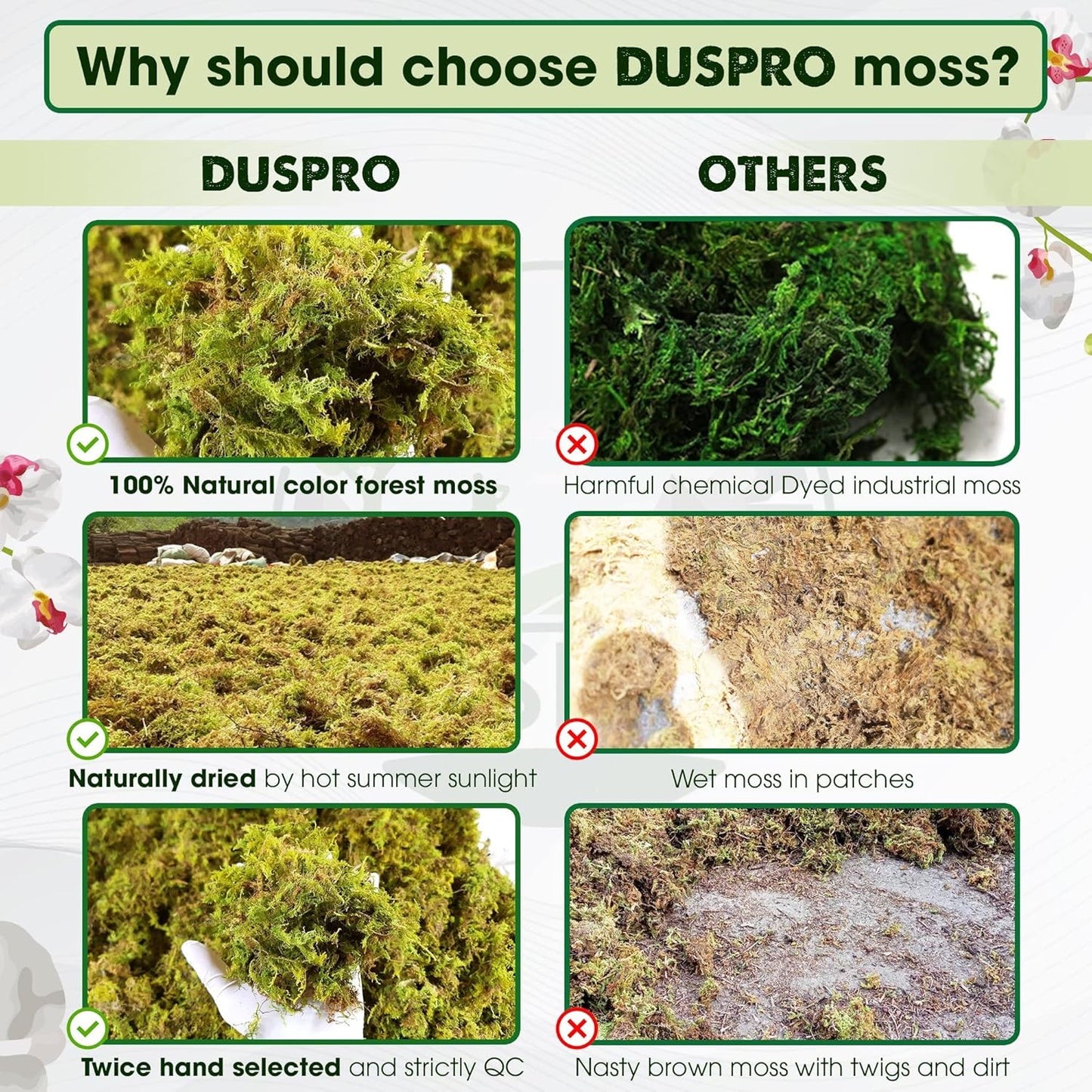 DUSPRO 10oz Dried Forest Moss for Potted Plants, Ideal for Orchid Moss Potting Mix Indoor Moisture Repotting Orchid Soil Medium, Terrarium Decor, Natural Reptile Vine