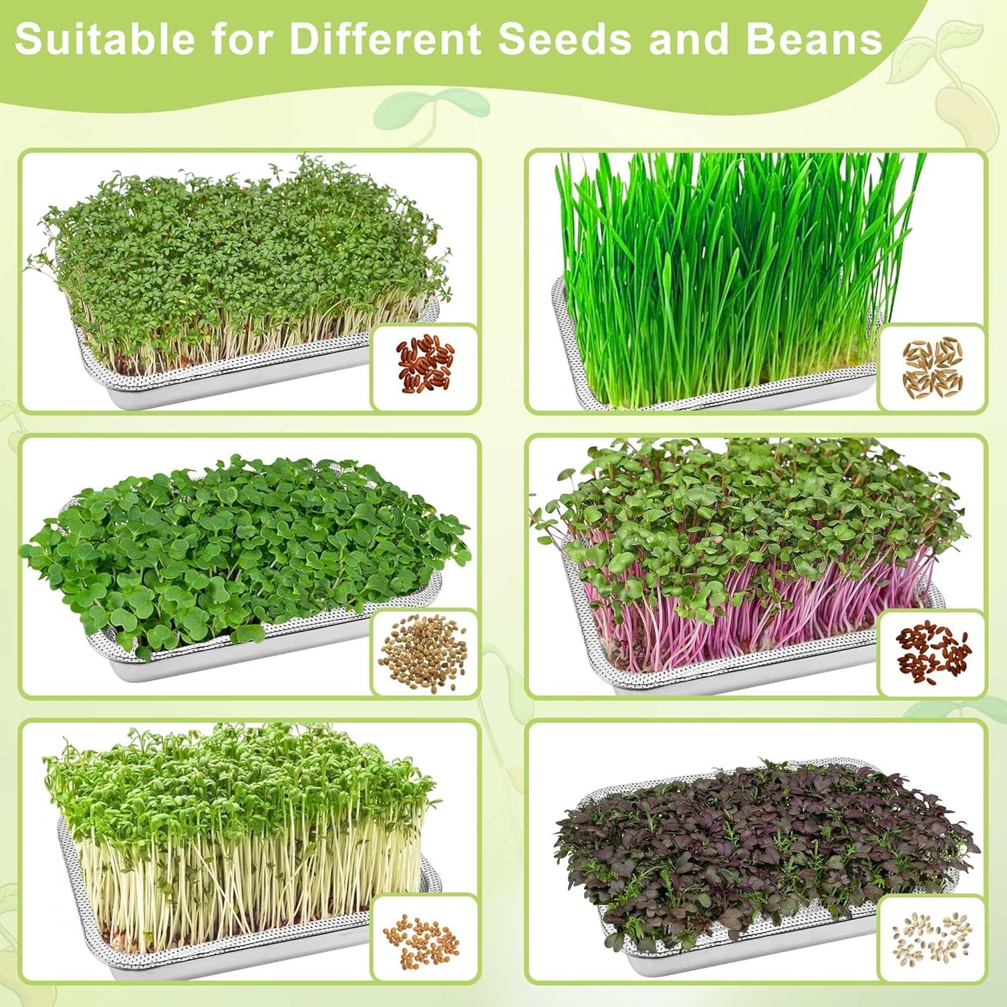 Stainless Steel Sprouts Growing Kit 3-Tier 12.4 inch Trays, Microgreens Growing Kit, Seed Sprouting Tray with Encrypted Mesh Sprouts for Beans Alfalfa Broccoli Wheat Grass