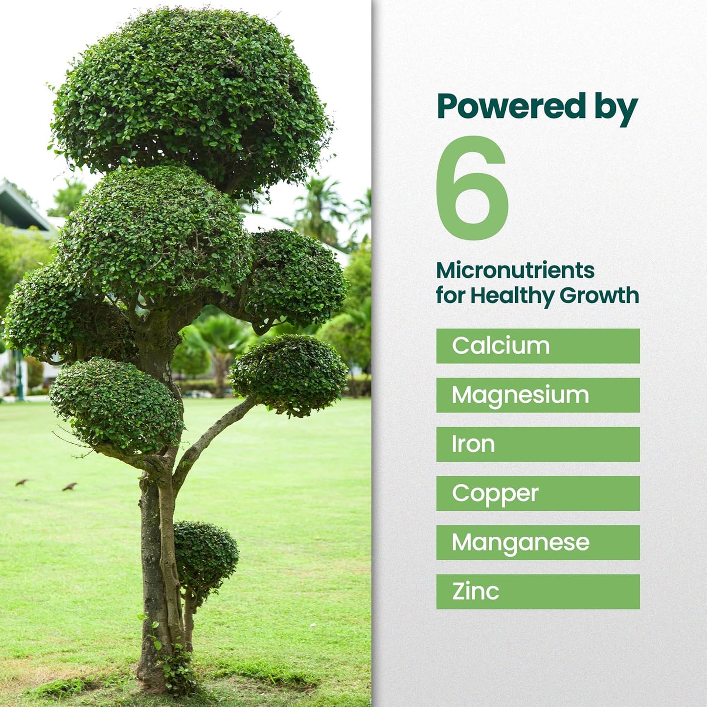 32oz Tree and Shrub Plant Food - Makes 32 Gallons of Tree and Shrub Fertilizer, Liquid Plant Fertilizer for Healthy Roots, Foliage & Year-Round Growth, Nutrient-Rich Formula for All Trees & Shrubs