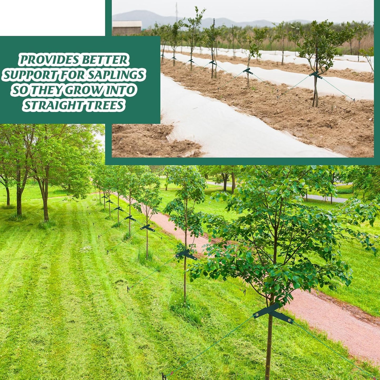 Suzile 180 Pcs Tree Stake Kit, Heavy Duty Tree Staking and Supports for Leaning Trees Include 11. 8'' Steel Stakes 15. 8'' Support Straps 13. 12 ft Ropes for Anchoring Hurricane Protection (Green)