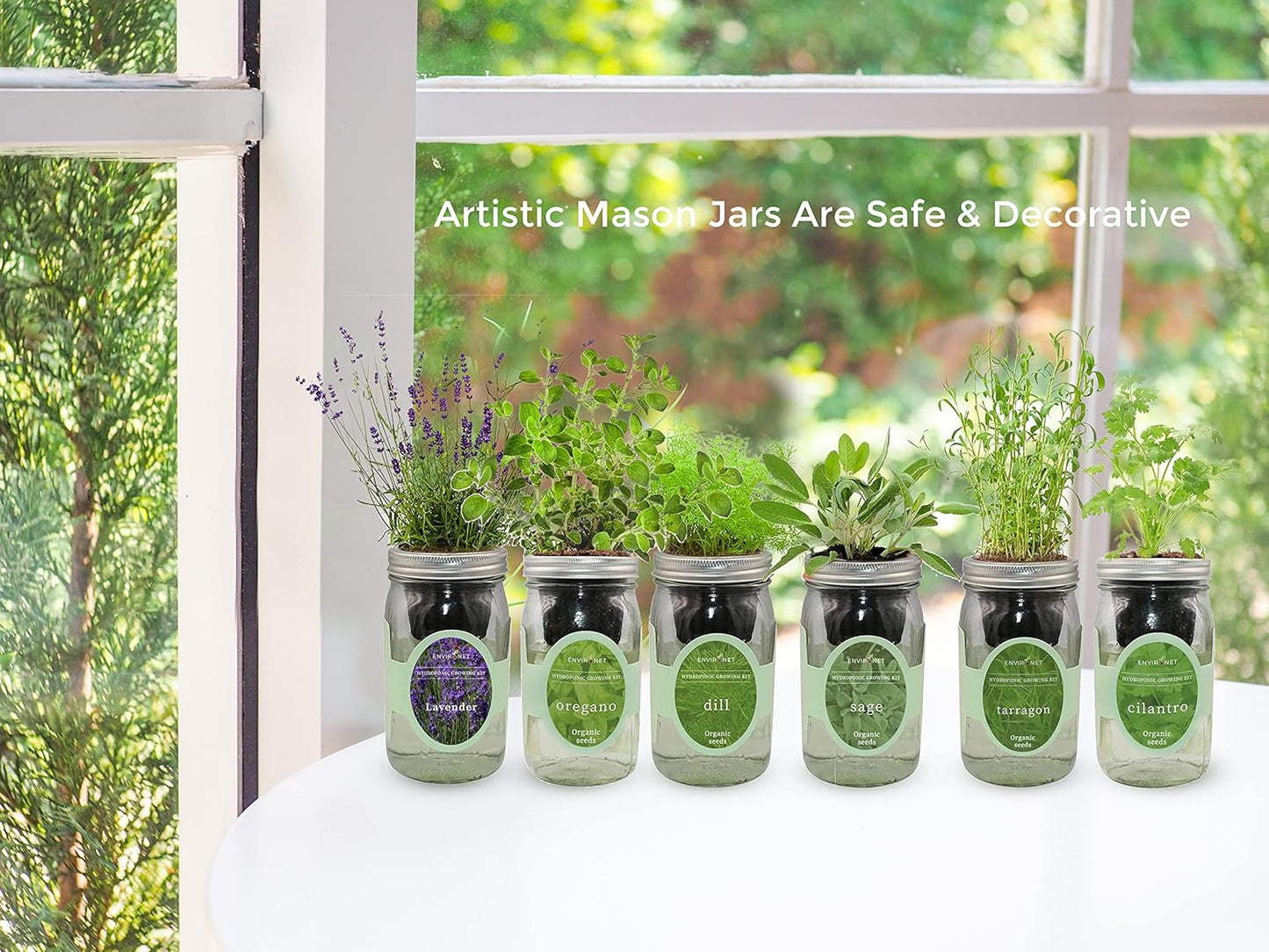 Hydroponic Herb Growing Kit, Self-Watering Mason Jar Herb Garden Starter Kit Indoor, Grow Your Own Herbs from Organic Seeds (Oregano)