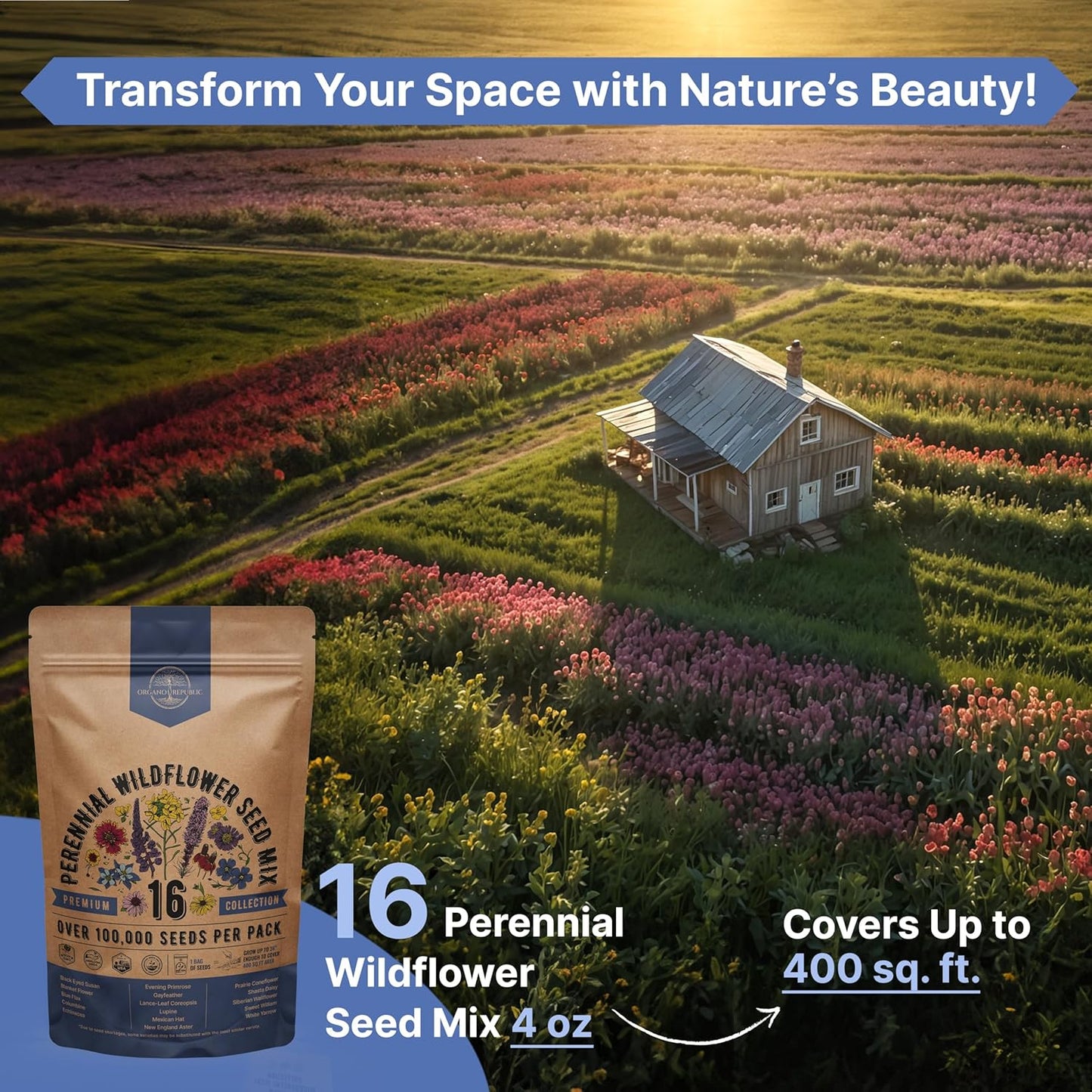 Organo Republic 16 Perennial Wildflower Seeds Mix for Indoor & Outdoors. 100,000+ Non-GMO, Heirloom Wildflower Garden Seeds, 4oz Packet for Growing Wild Flowers to Attract Bees, Butterflies & Birds