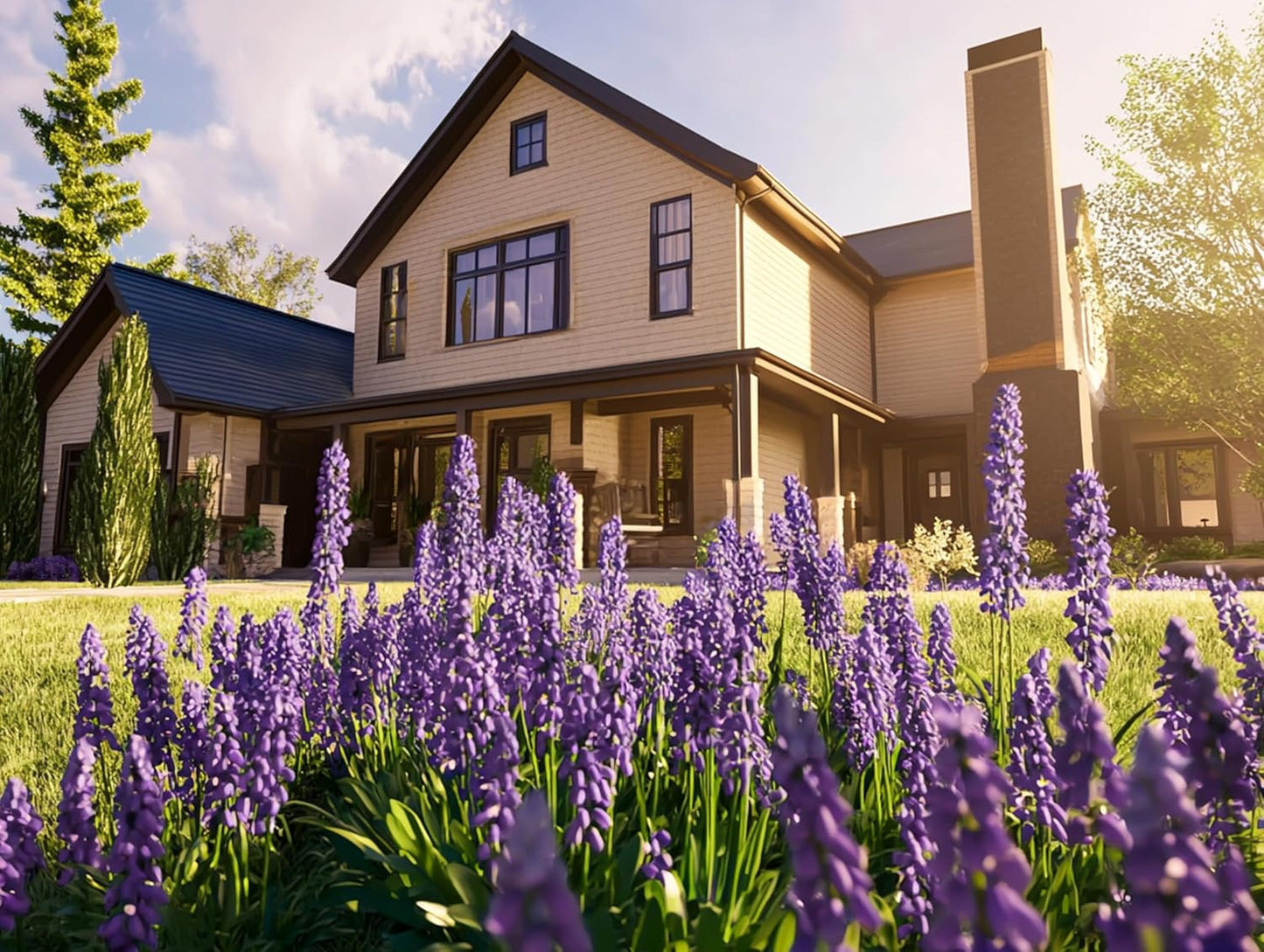 Big Blue Liriope Muscari - 12 Live 4 Inch Pots - Drought Tolerant Low Maintenance Evergreen Plants Grass Lilyturf